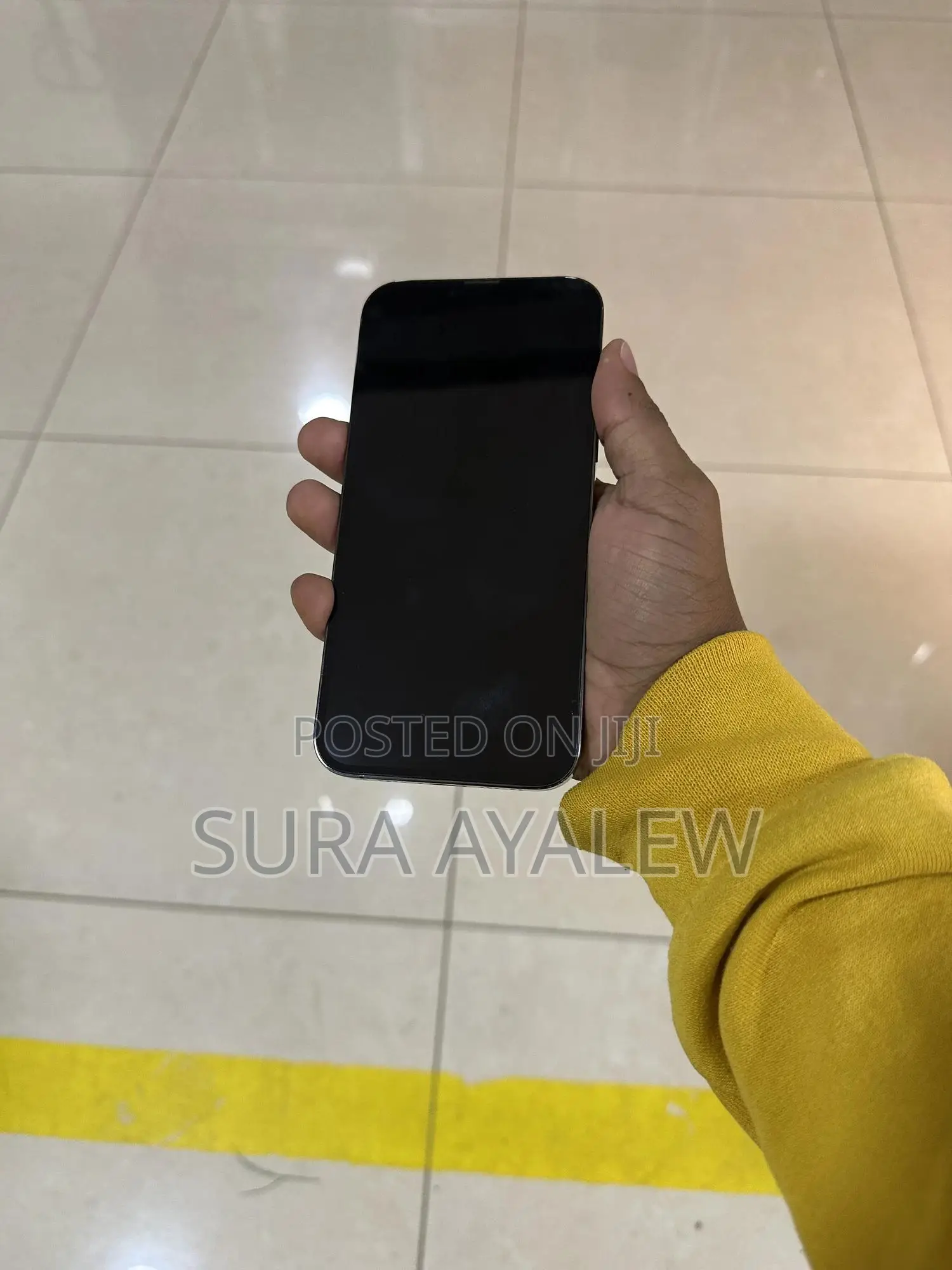 Apple iPhone 13 Pro Max 256 GB Gray