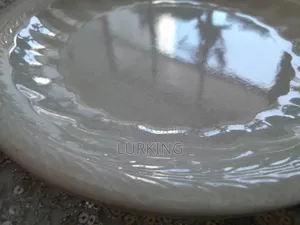 Dinner or Lunch Plates