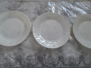 Dinner or Lunch Plates