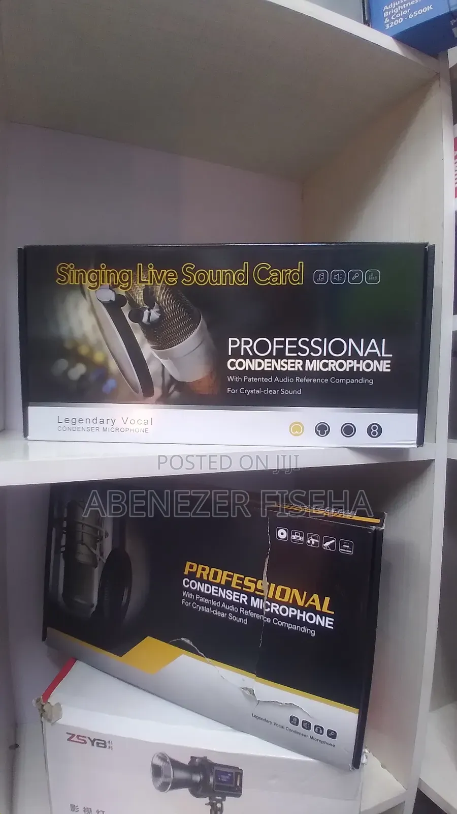 Professional Condenser Microphone