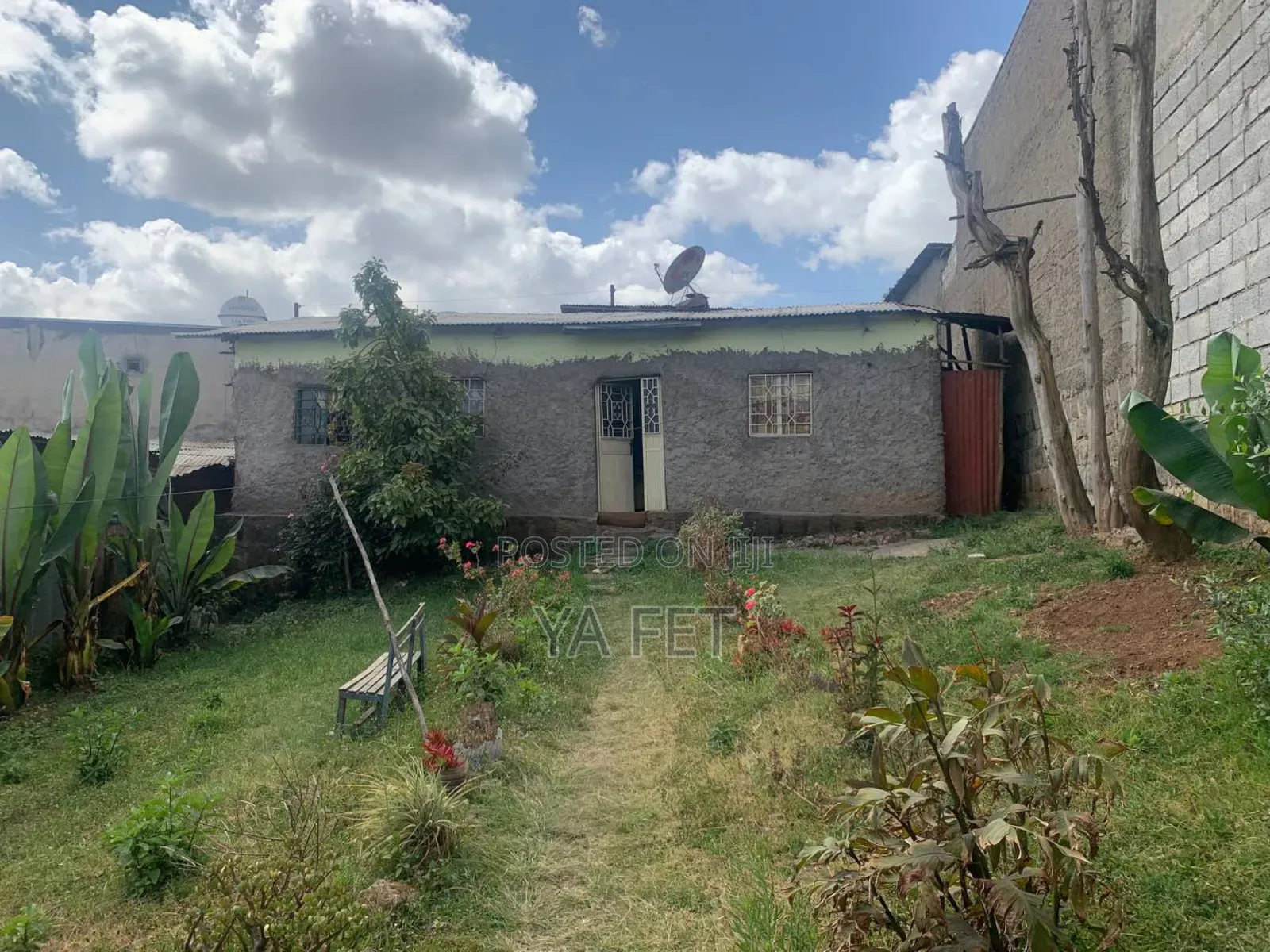 Ayer Tena Akababi Nw 12 Million Dereder Alw Yedewelu