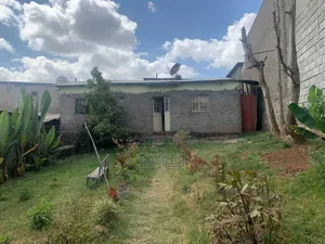 Ayer Tena Akababi Nw 12 Million Dereder Alw Yedewelu