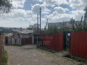 Ayer Tena Akababi Nw 12 Million Dereder Alw Yedewelu