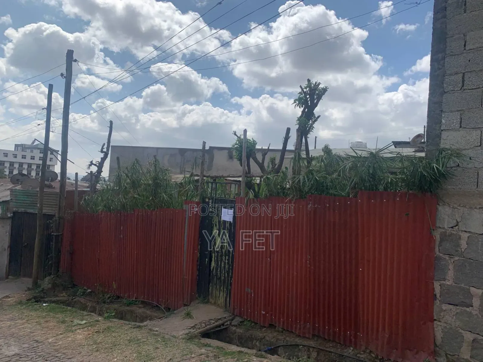 Ayer Tena Akababi Nw 12 Million Dereder Alw Yedewelu