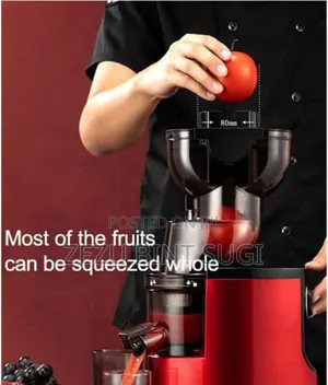 Slow Juicer