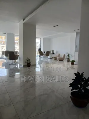 ቦሌ ላይ የንግድ ሱቆችን እየሸጥን እንገኛለን