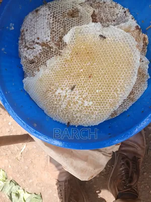 Photo - Meher Honey