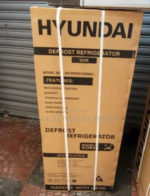 Hyundai 300 Liters