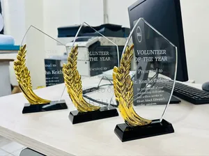 Photo - Crystal Award