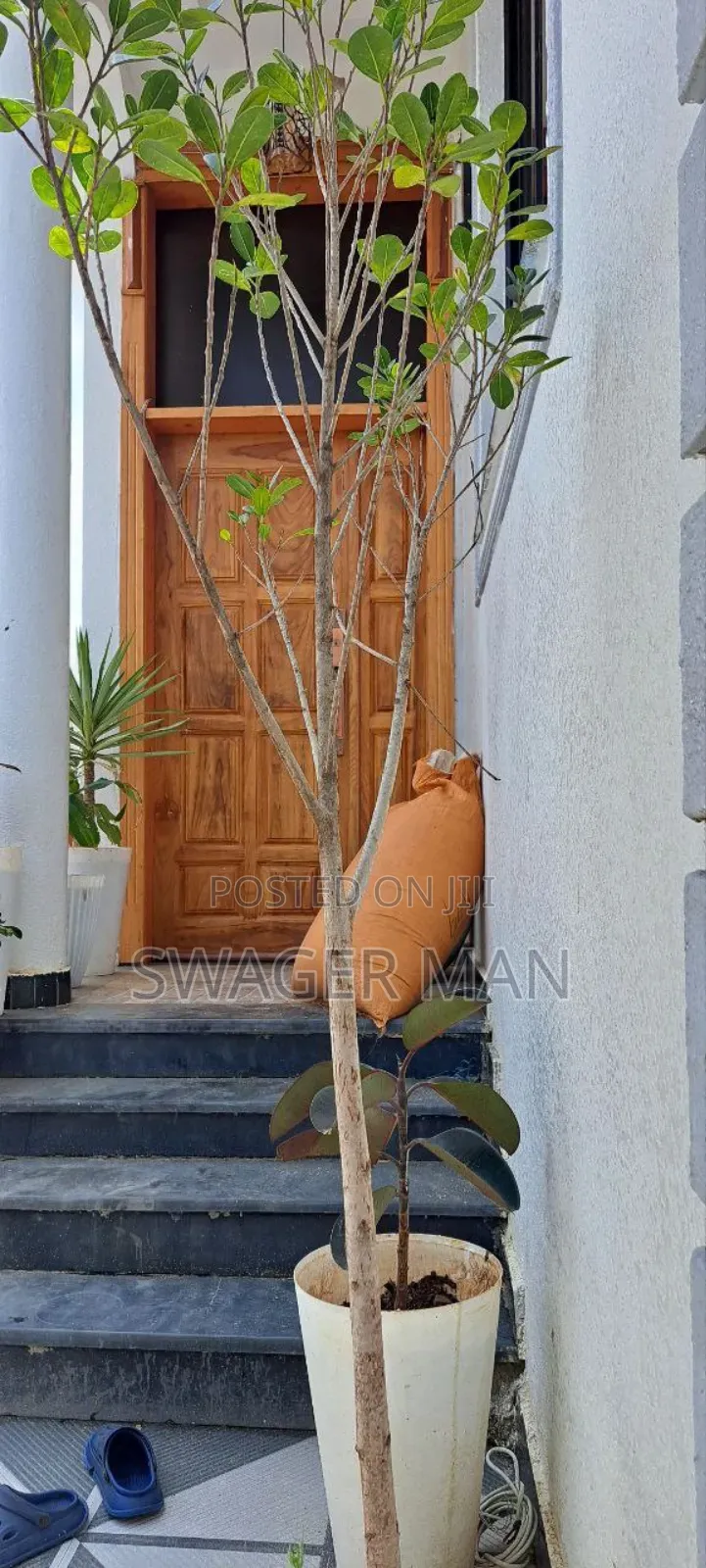 Furnished 5bdrm Villa in ጣፎ, Yeka for sale