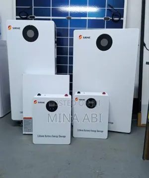 Photo - Srne Inverter and Lithium Ion Battery