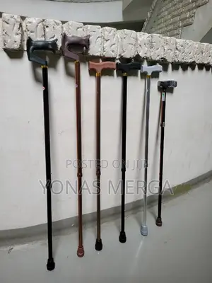 Walking Sticks/Canes: Purpose麪岯they Offer Balance Support
