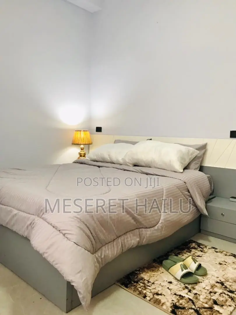 Furnished 2bdrm Apartment in Gerij, Bole for rent