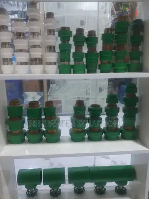 PPR Male and Female Adapter