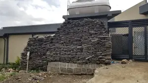 የተቀቀለ ጣውላ /Boiled Wood