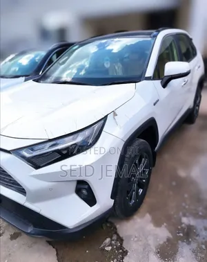 New Toyota RAV4 2023 White