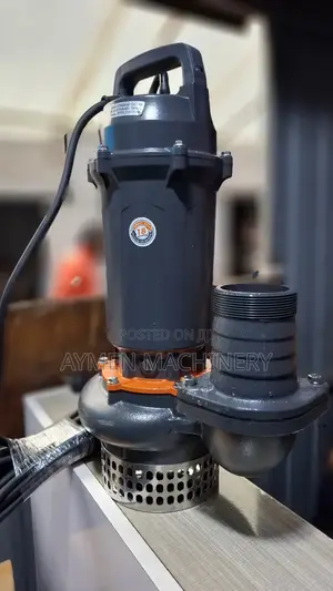 Leo Submersible Pump 2hp የጉድጓድ ውሀ ፓምፕ