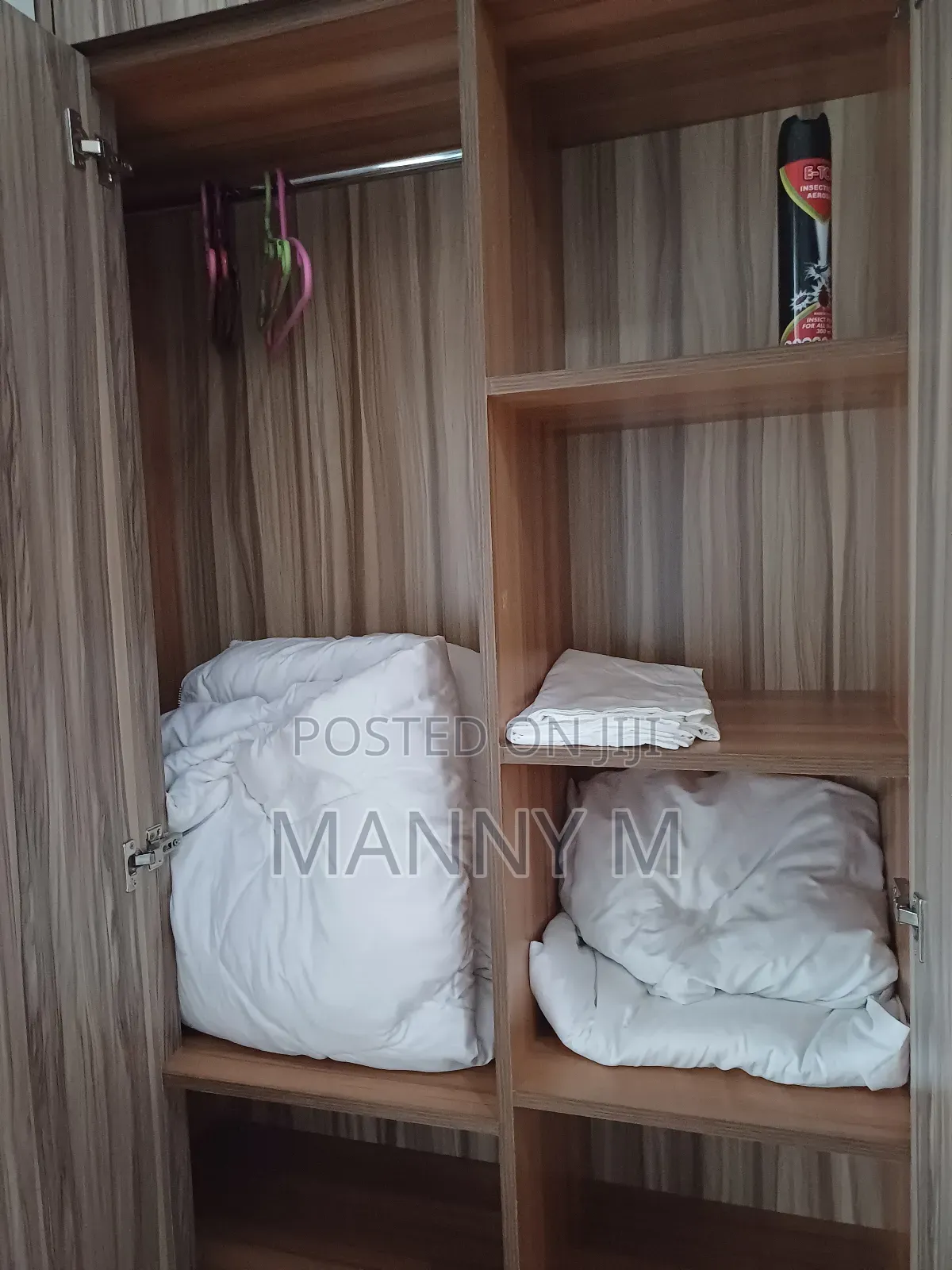 Furnished 4bdrm Apartment in Diaspora Apartment, Yeka for rent