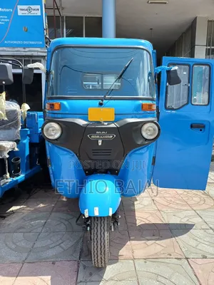 Photo - New Bajaj Stroke 2024 Brown
