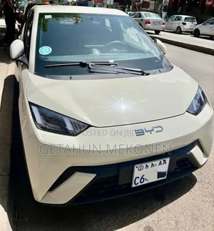 Photo - BYD Seagull 2024