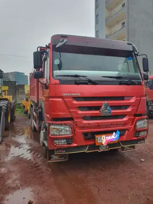 Cino. 2024. Model. Bank 6m