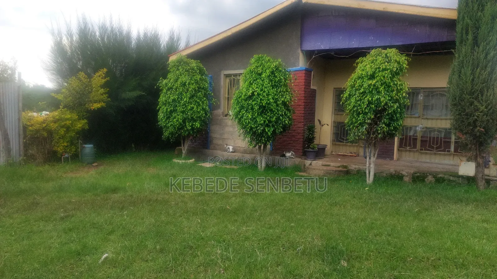 Agriculture Land for Sale or Rent