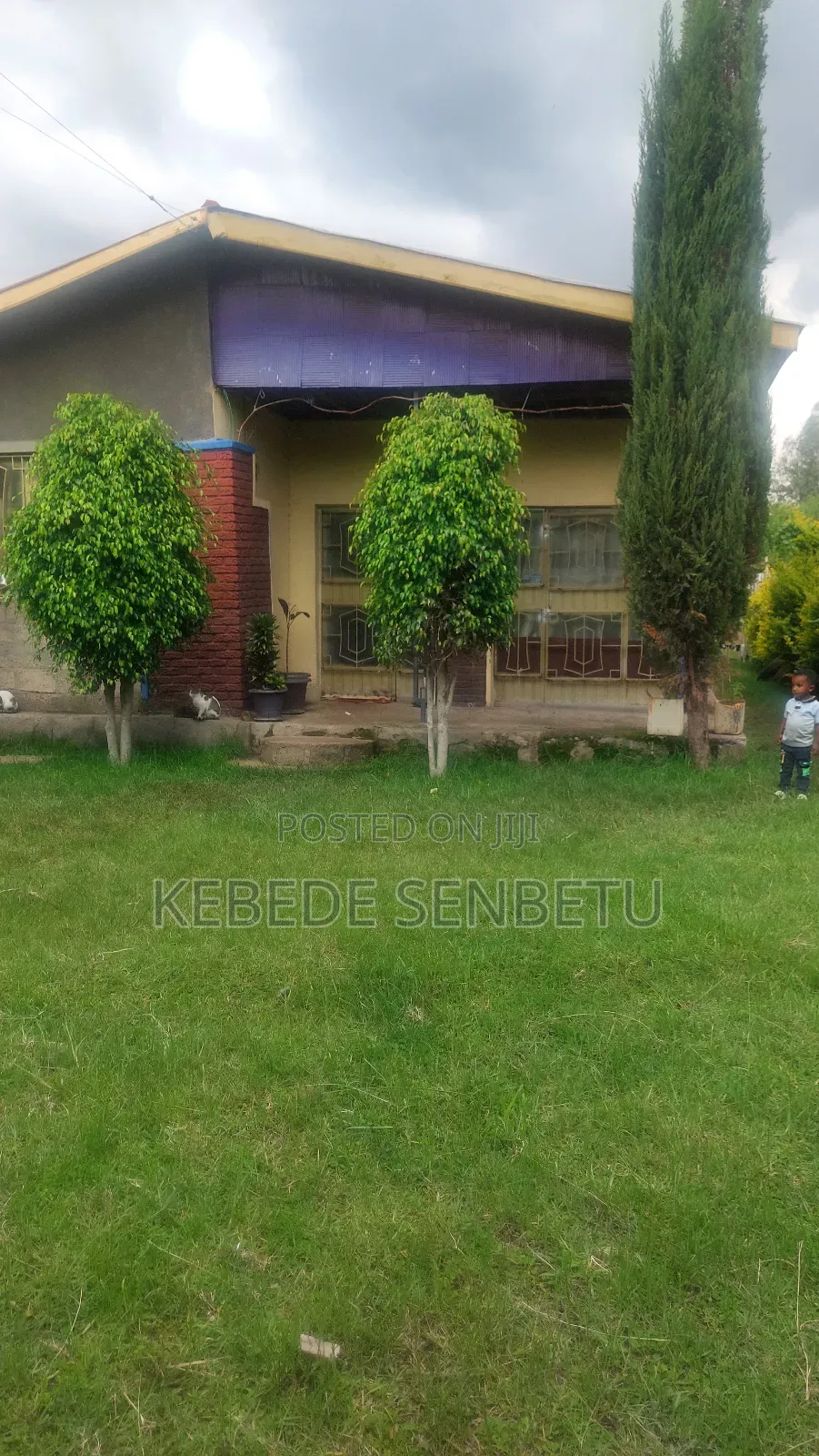 Agriculture Land for Sale or Rent