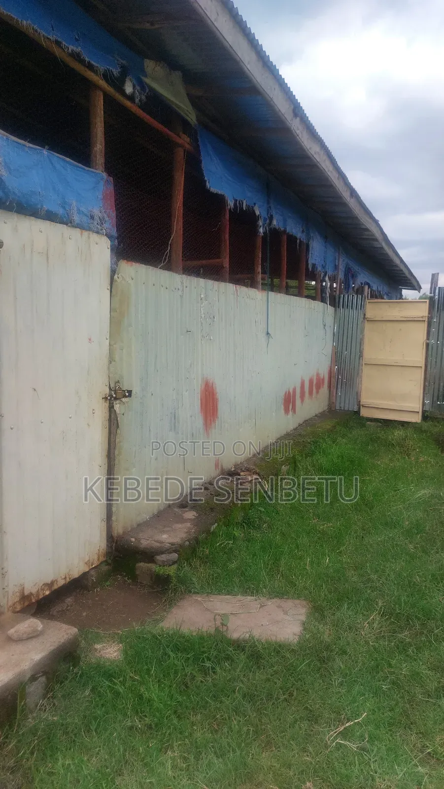 Agriculture Land for Sale or Rent