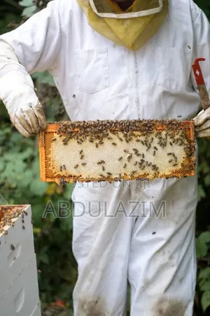 Beekeeping/ንብ ማነብ ስራ