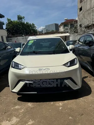Photo - New BYD Seagull 2024 Silver