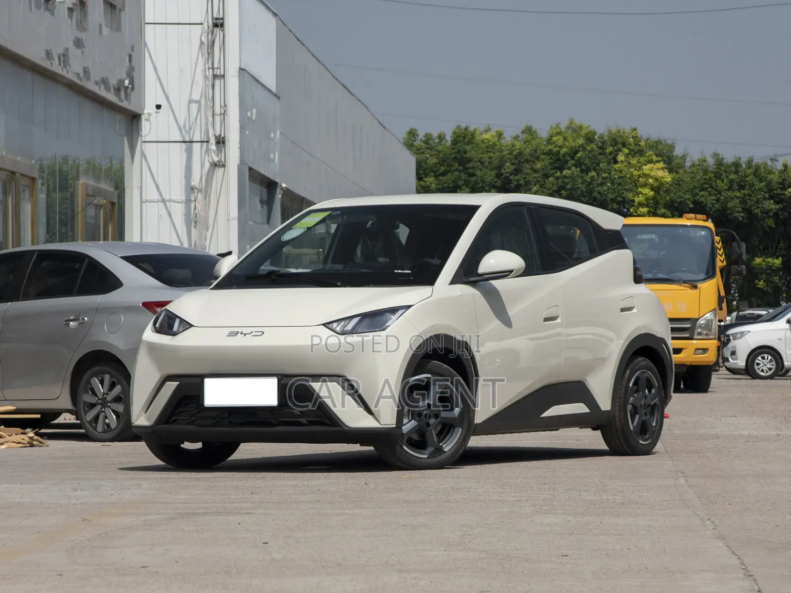 New BYD Seagull 2024 White