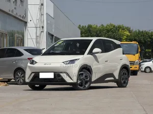 Photo - New BYD Seagull 2024 White