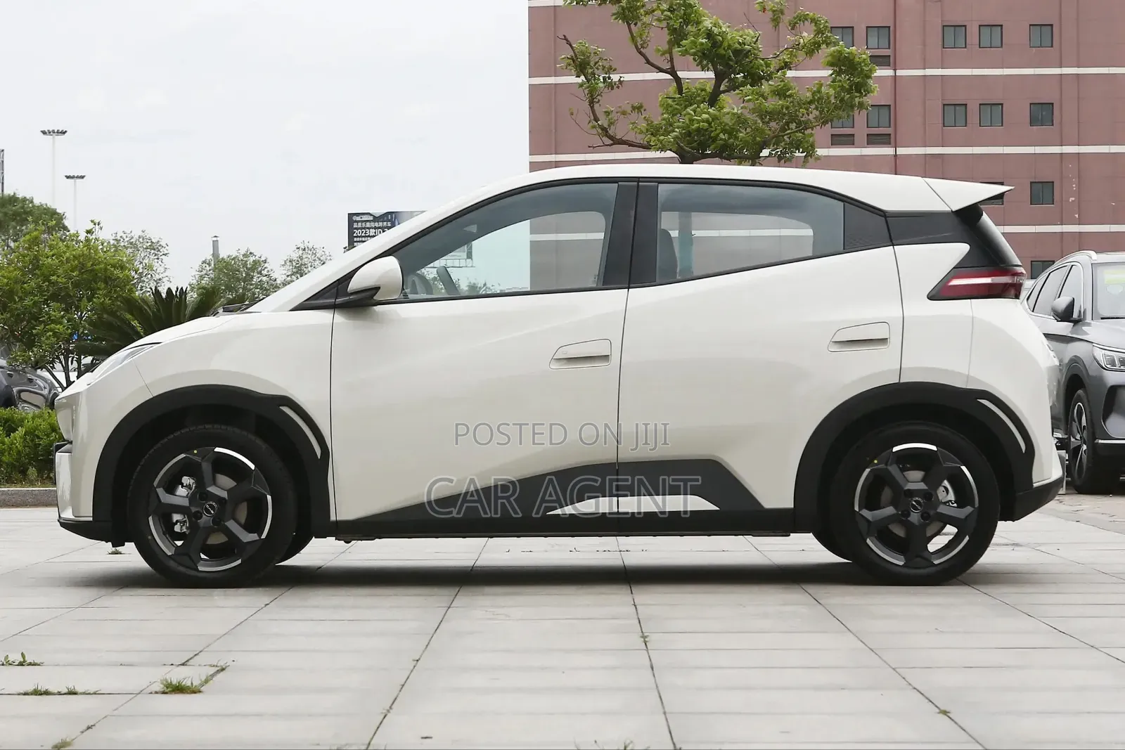 New BYD Seagull 2024 White