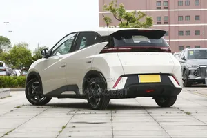 New BYD Seagull 2024 White