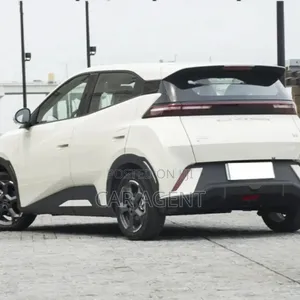 New BYD Seagull 2024 White