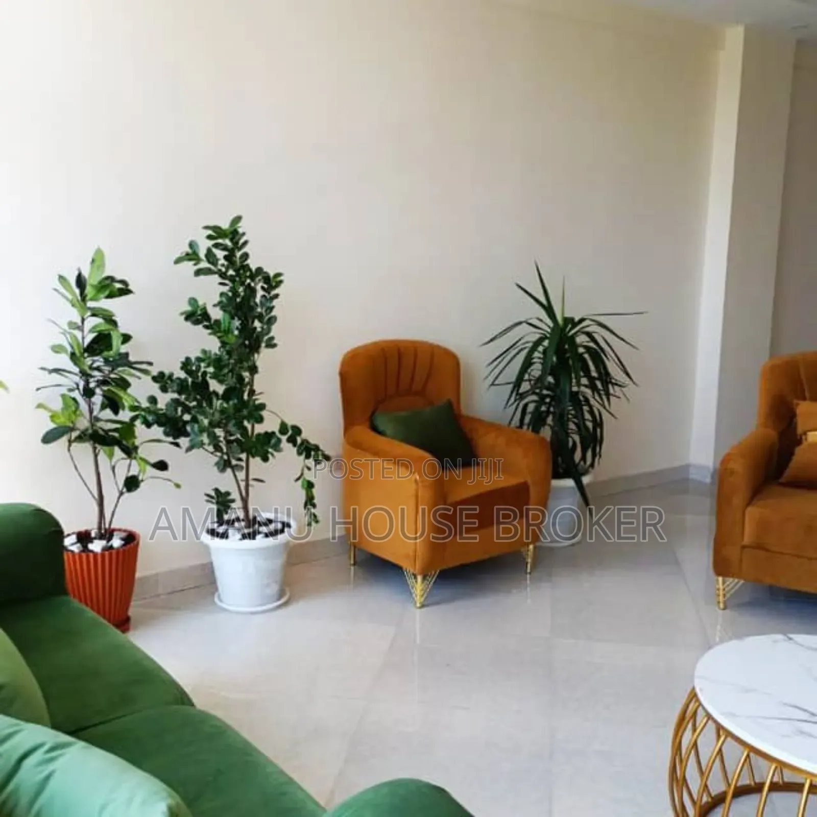 Furnished 4bdrm Apartment in Addis Abeba, Bole for rent