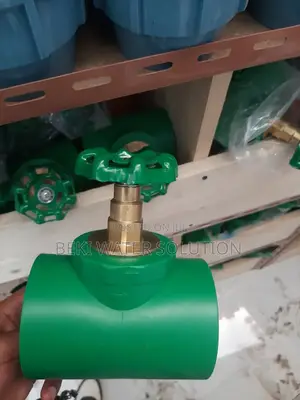 PPR Gate Valve