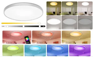 Led Ceiling and Lamp
