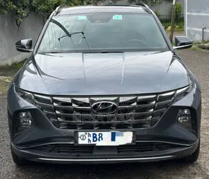 Hyundai Tucson 2021 Gray