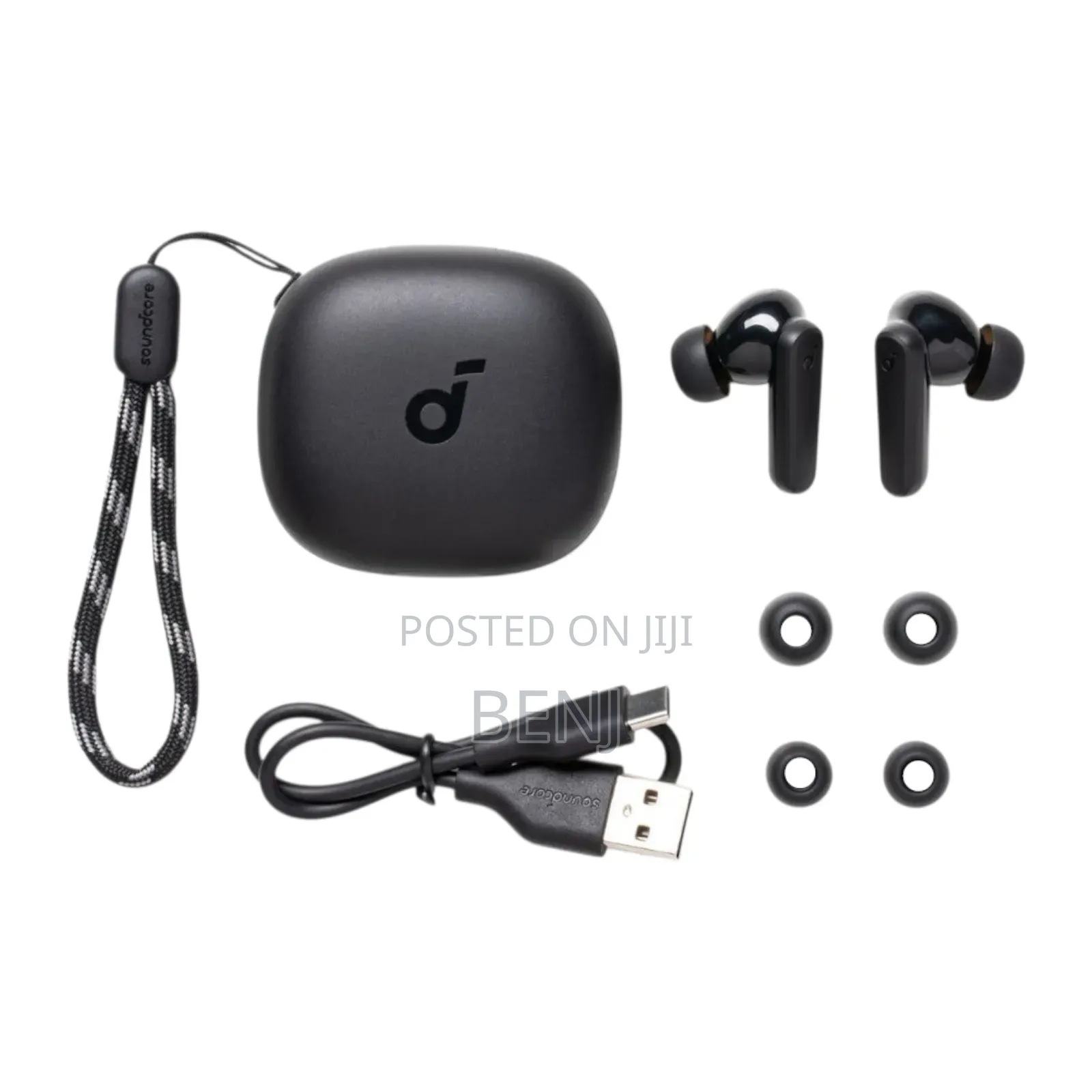 Anker Soundcore R50i Wireless Earbud | 30 Hours Hi-Fi Sound | Bass