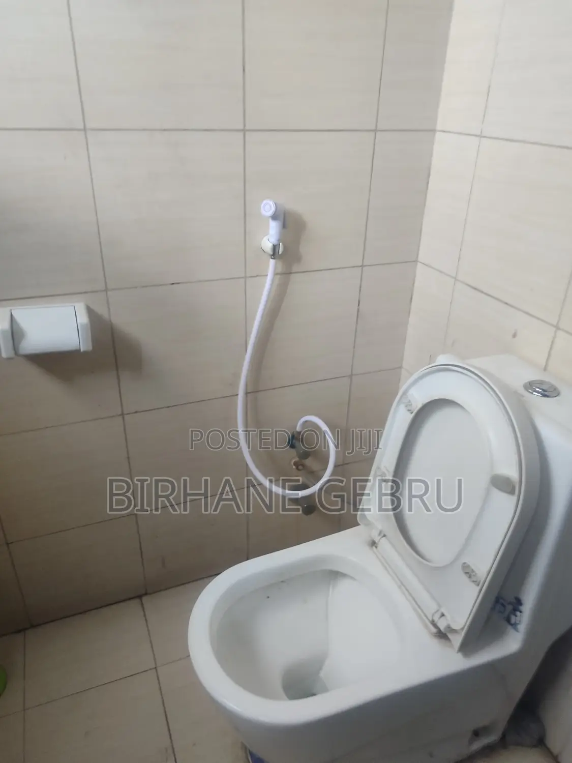 Luxury Apartiment Rent for Office