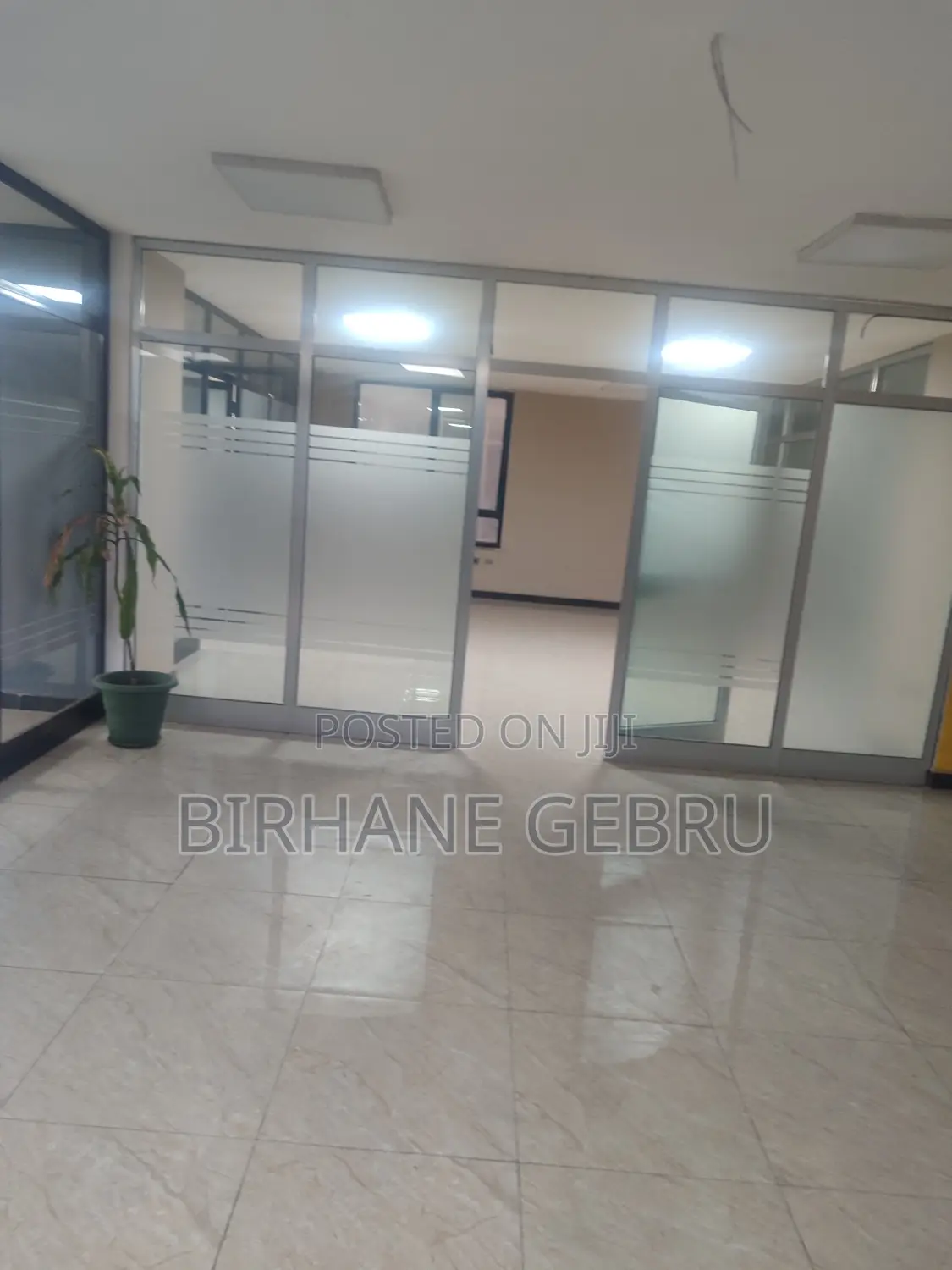 Luxury Apartiment Rent for Office