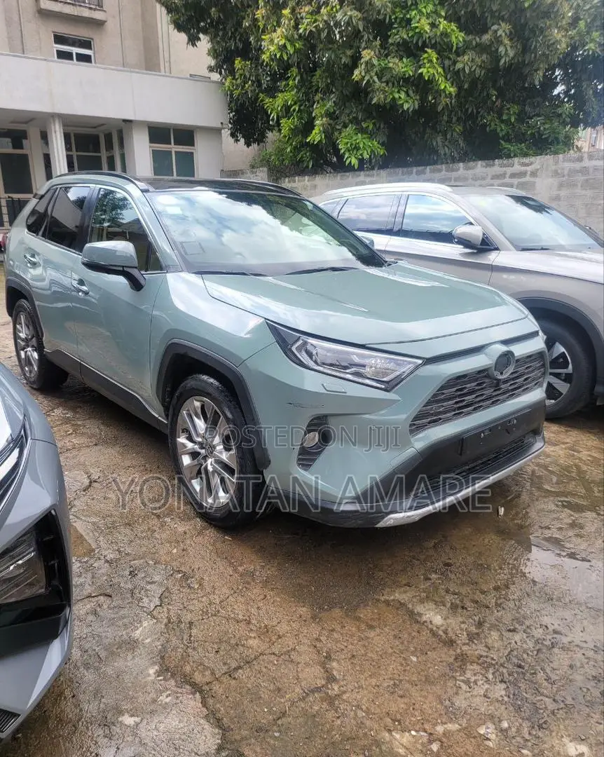 Toyota RAV4 2020 Gray