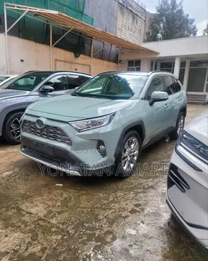 Toyota RAV4 2020 Gray
