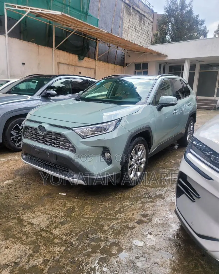 Toyota RAV4 2020 Gray