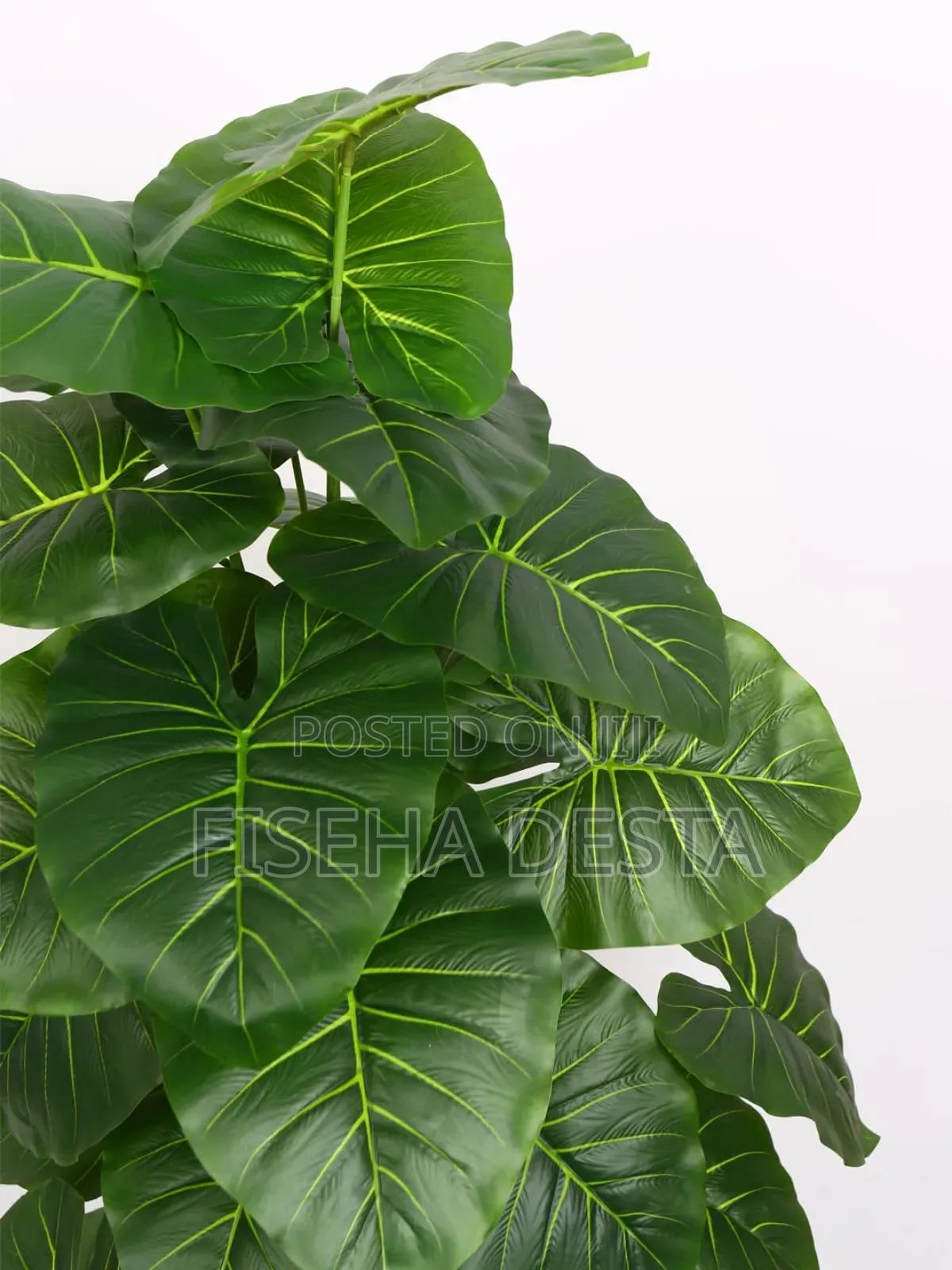 1ሜትር አርቴፊሻል ዛፍ Artificial Tree