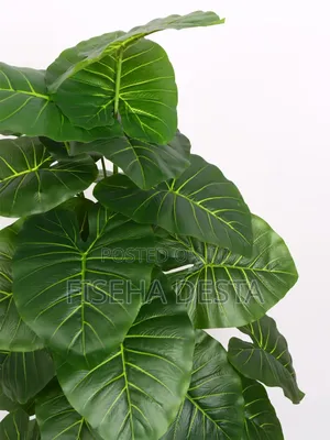 1ሜትር አርቴፊሻል ዛፍ Artificial Tree