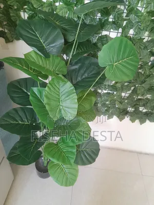 1ሜትር አርቴፊሻል ዛፍ Artificial Tree