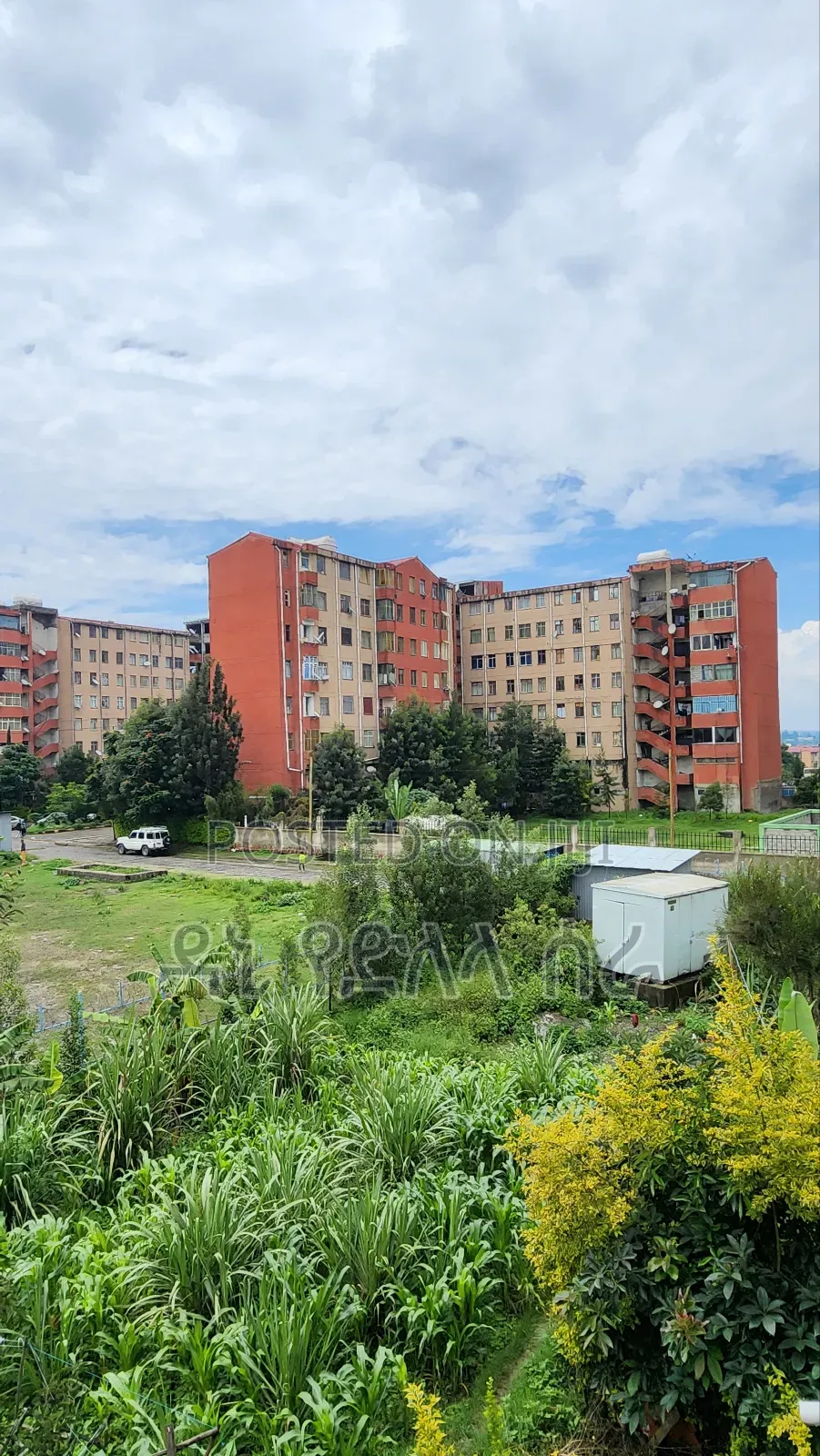 Furnished 3bdrm Condo in አዲስ አበባ, Bole for sale