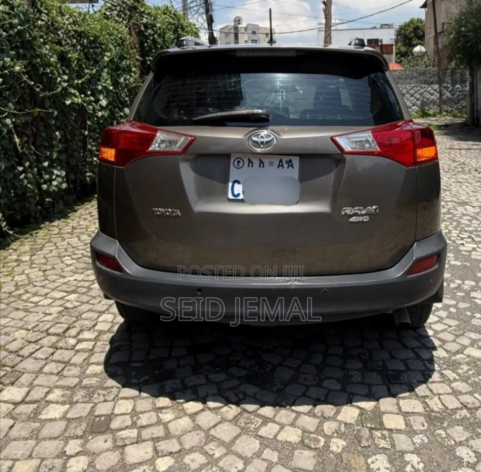 Toyota RAV4 2013 Brown